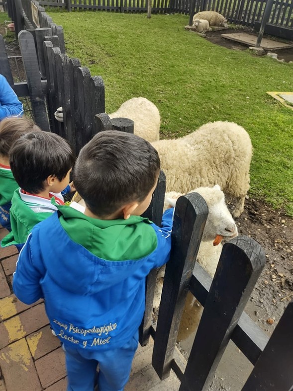 Galería Liceo Infantil